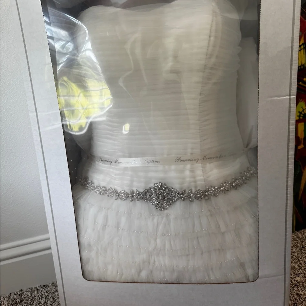 David’s Bridal Wedding Dress - Picture 2 of 8